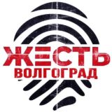 Жесть Волгоград