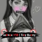 Tiny Bunny | Зайчик 18+