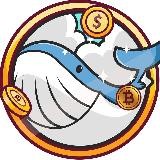 Whale Finance Noticias