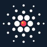 Cardano China Official 🇨🇳