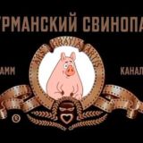 Мурманский свинопас Chat