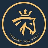 Horses for sale 🇷🇺
