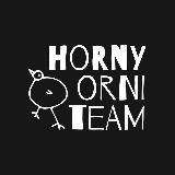 Horny Orni Team