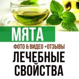 Мята