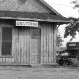 Bentonia