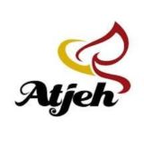 PPPK ACEH 2025