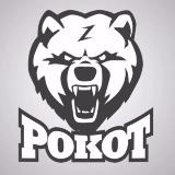 НВП РОКОТ Z Ростов
