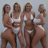 Ellie-Jean Coffey | Holly-Daze Coffey | Ruby-Lee Coffey | Bonnie-Lou Coffey