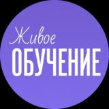 Живое обучение - чат