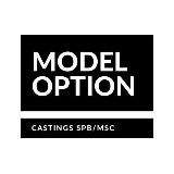 Model Option