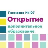 Гимназия 107 | ДОПОЛНИТЕЛЬНОЕ ОБРАЗОВАНИЕ