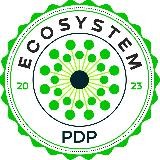 PDP EcoSystem | Ezgulik yo’lida zamonaviy ta’lim!