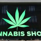 CANNABIS SHOP🌿