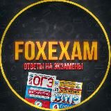 FoxExam || ОТВЕТЫ 2024