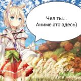 AniBooM