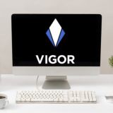 VIGORdev