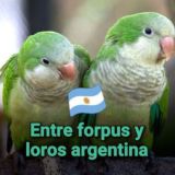 Entre forpus y loros argentinos