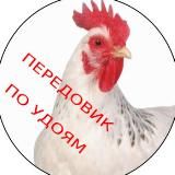 🕊MR_неспокойный_юрист💼