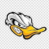 StuDUCK