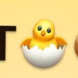 Цыплята 🐣