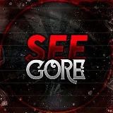 SEEGORE OFFICIAL