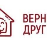 Верный друг 🐕