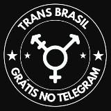 🏳️‍🌈 TRANS BRASIL FREE 🏳️‍🌈