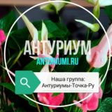 Грунты и компоненты 👍