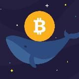 iCrypto Whale