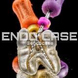 ENDO CASE