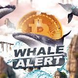 WHALE ALERT