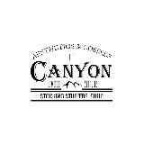 Funko Pop! Canyon