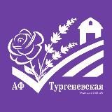 АФ Тургеневская • Лаванда • Роза • Крым