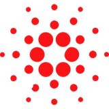 Cardano Hodlers