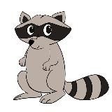 Енот 🦝