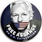 Vote for Assange USA