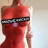 МИЛЫЕ КИСКИ😈