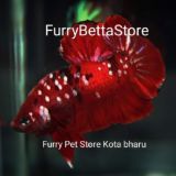 Furry Betta Store