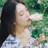 день жизни
