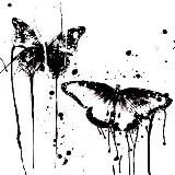 Dead butterflies