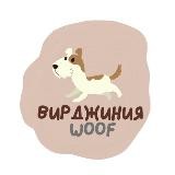 Вирджиния Woof l Гав-блог