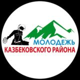 ДРОО Молодежь Казбековского района