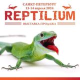 Рептилиум Reptilium | змеи | ящерицы | лягушки | рыбки