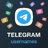 USERNAME TELEGRAM