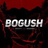 Bogush