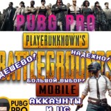 Аккаунты и UC PUBG PRO