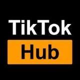 TikTok Hub