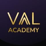 Состояние Первично Vaal Academy по телесно-эмоциональным процессам | Масштаб