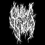 SlowSnowrecords