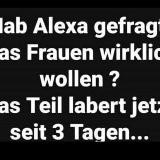 Traugott Hier wird gelacht..😂😂😂😂🇩🇪